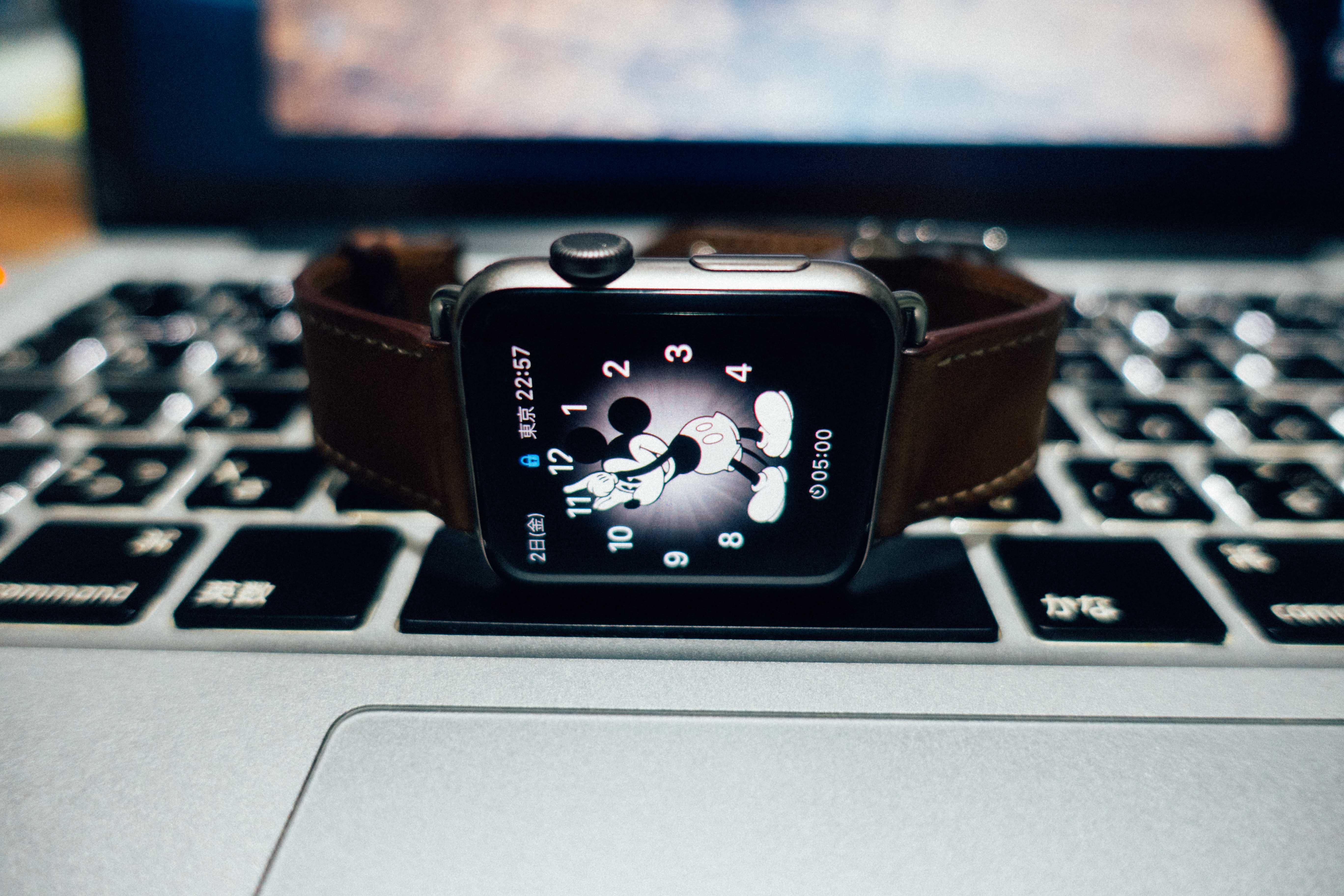 Apple Watch横
