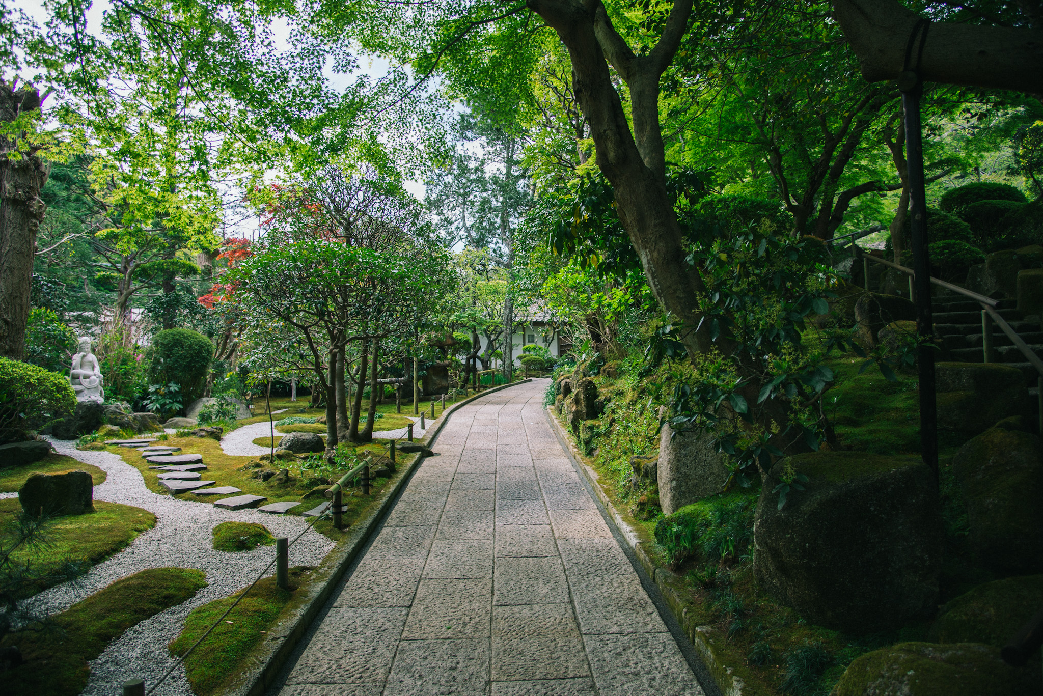 報国寺の庭