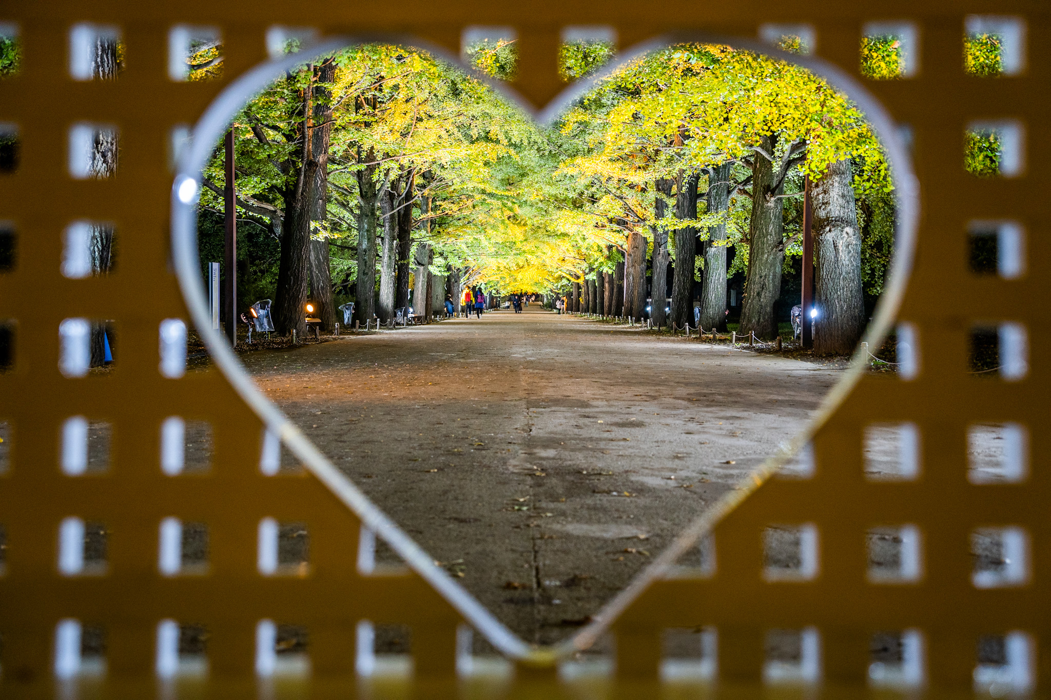 昭和記念公園秋の夜散歩